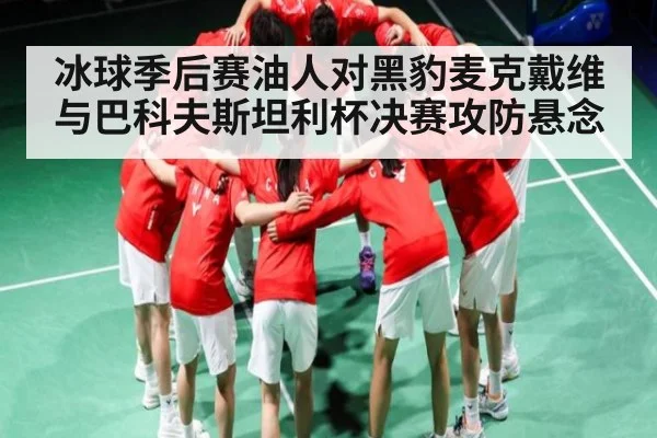 冰球季后赛油人对黑豹麦克戴维与巴科夫斯坦利杯决赛攻防悬念